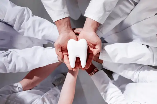 Experienced Family Dentist Team Noida